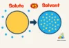 Difference Between Solute and Solvent