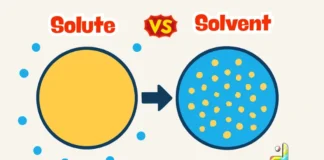 Difference Between Solute and Solvent