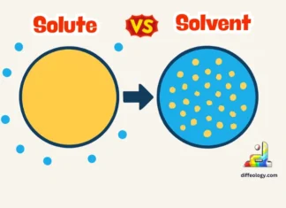 Difference Between Solute and Solvent