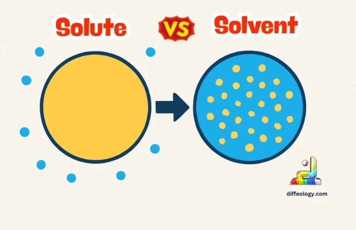 Difference Between Solute and Solvent