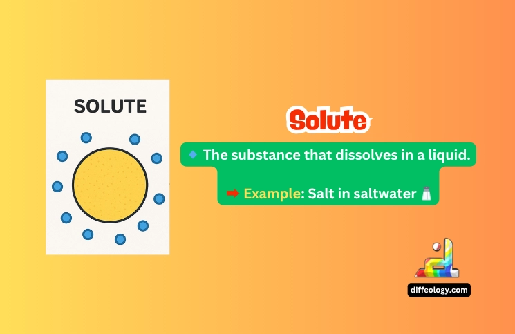 What is Solute
