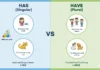 Difference Between Has and Have