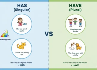 Difference Between Has and Have
