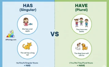 Difference Between Has and Have
