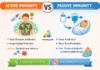 Difference Between Active and Passive Immunity Difference Between Active and Passive Immunity