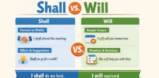 Difference Between Shall and Will