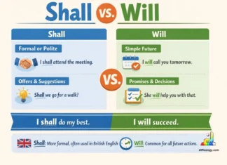 Difference Between Shall and Will