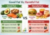 difference between Good Fat and Harmful Fat
