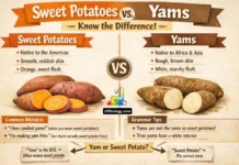Difference Between Sweet Potatoes and Yams Difference Between Sweet Potatoes and Yams