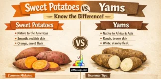 Difference Between Sweet Potatoes and Yams